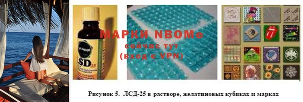 прущие грибы Гусев