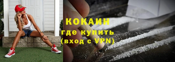 прущие грибы Гусев
