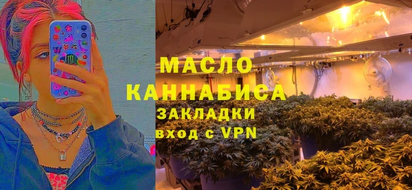 прущие грибы Гусев