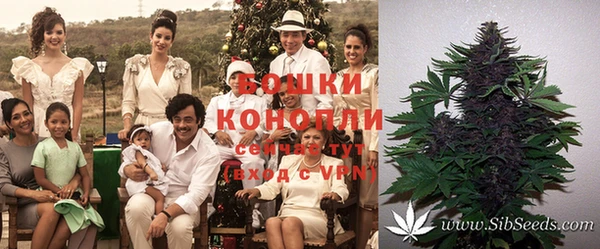 метамфетамин Гусиноозёрск