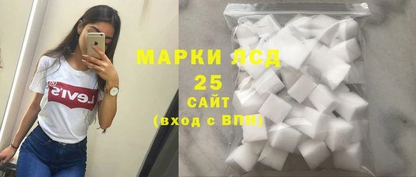 прущие грибы Гусев