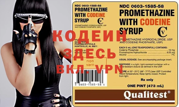 прущие грибы Гусев