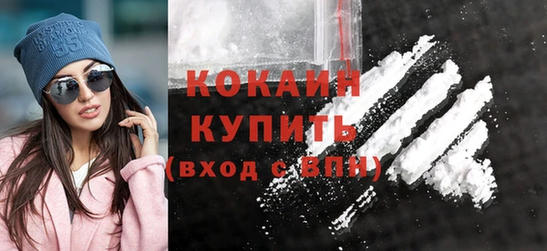 прущие грибы Гусев