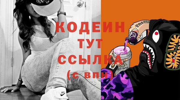 прущие грибы Гусев