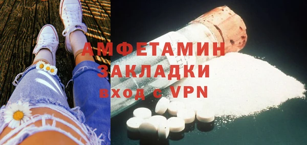 прущие грибы Гусев