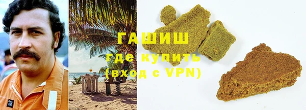 прущие грибы Гусев