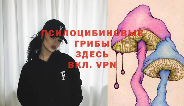 прущие грибы Гусев